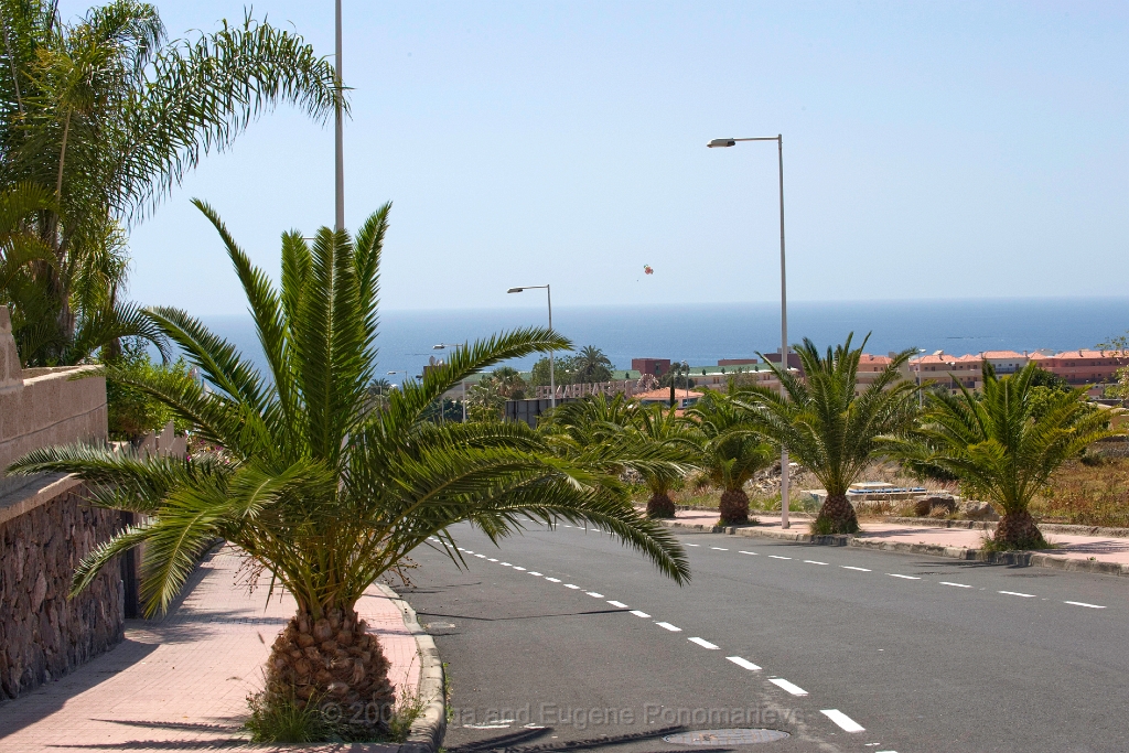 20090507TNRF00002STK.jpg - Los Cristianos