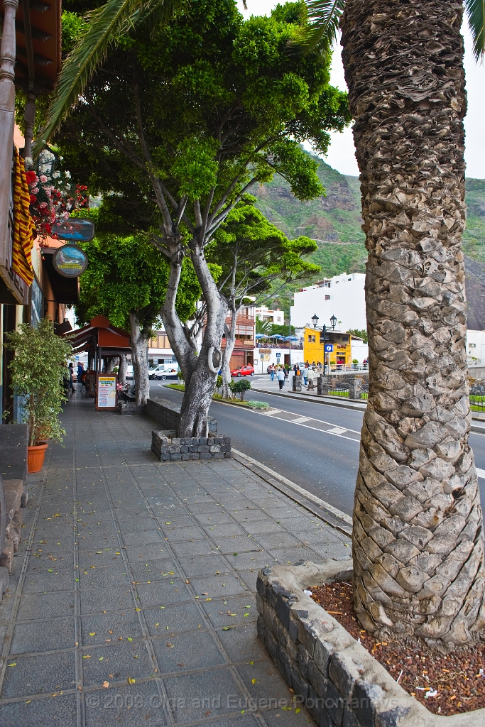 20090627TNRF00350STK.jpg - Garachico