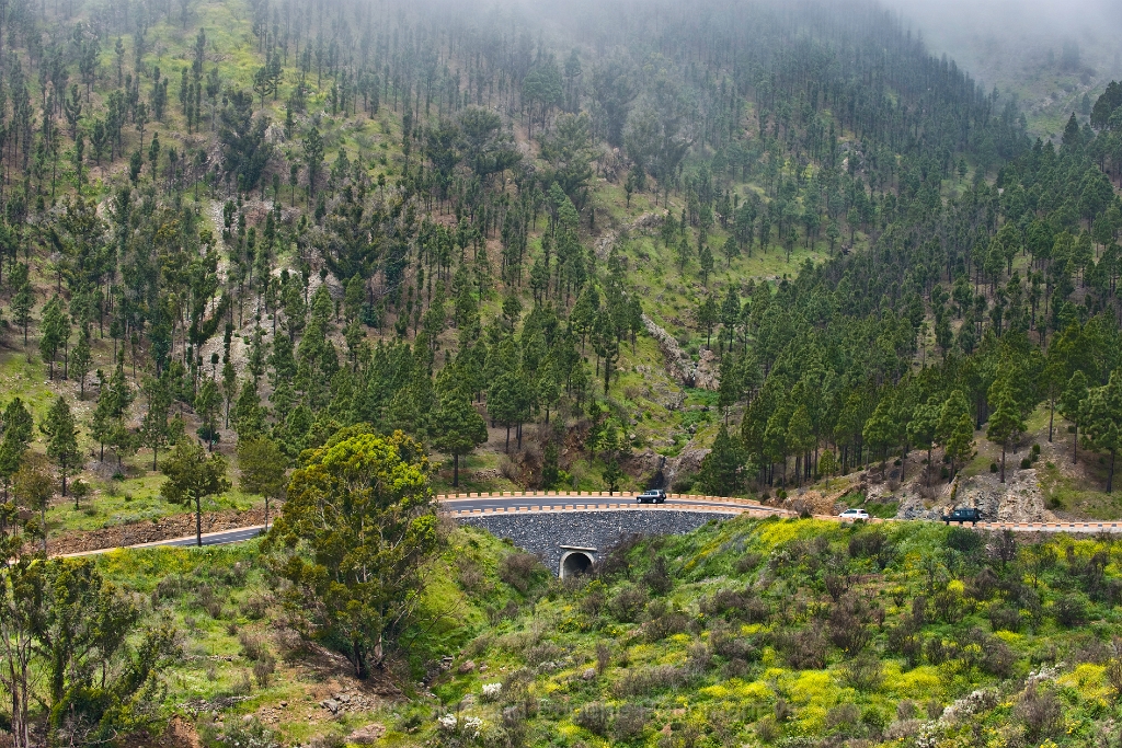 20090627TNRF00664STK.jpg - La carretera a Masca