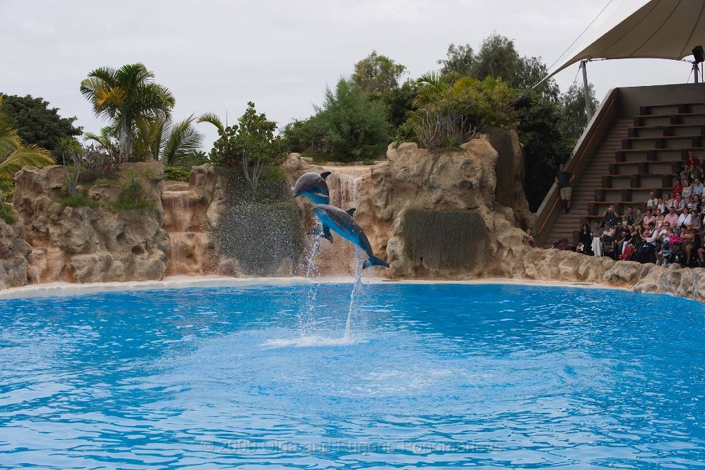20090627TNRF00763STK.jpg - Loro Parque
