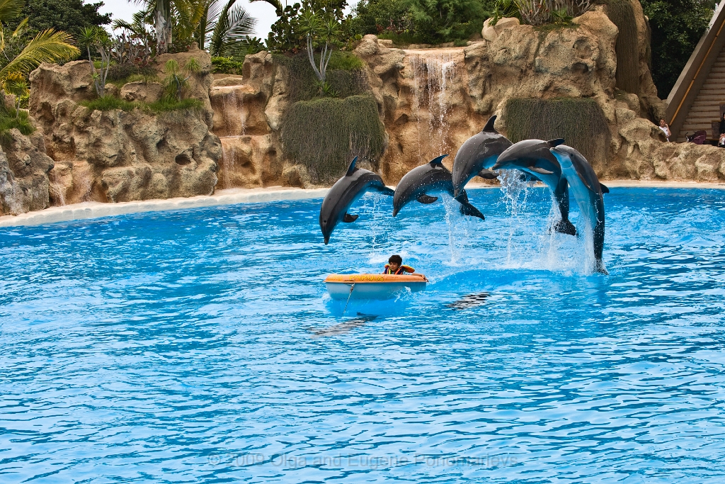 20090627TNRF00849STK.jpg - Loro Parque
