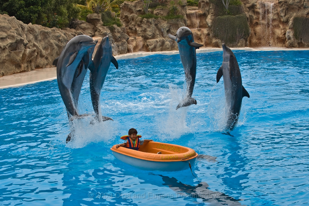 20090627TNRF00857STK.jpg - Loro Parque