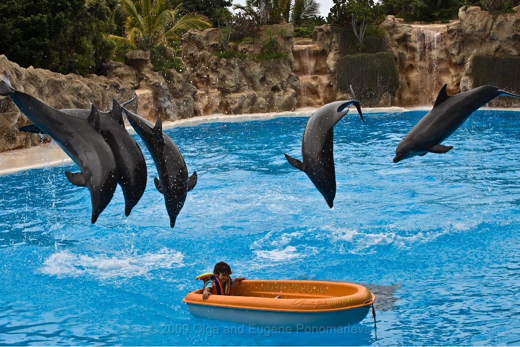 20090627TNRF00858STK.jpg - Loro Parque