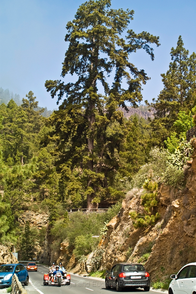 20090628TNRF00967STK.jpg - Vilaflor