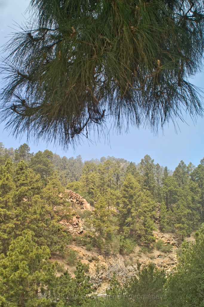 20090628TNRF00973STK.jpg - Vilaflor