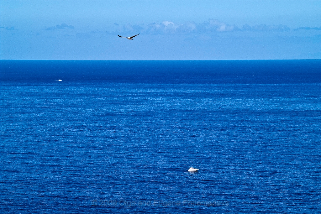 20090705TNRF01885STK.jpg - Puerto de Santiago. Los Gigantes.