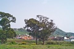 20090627TNRF00222STK